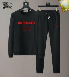 Picture of Burberry SweatSuits _SKUBurberryM-3XL25tn10827401